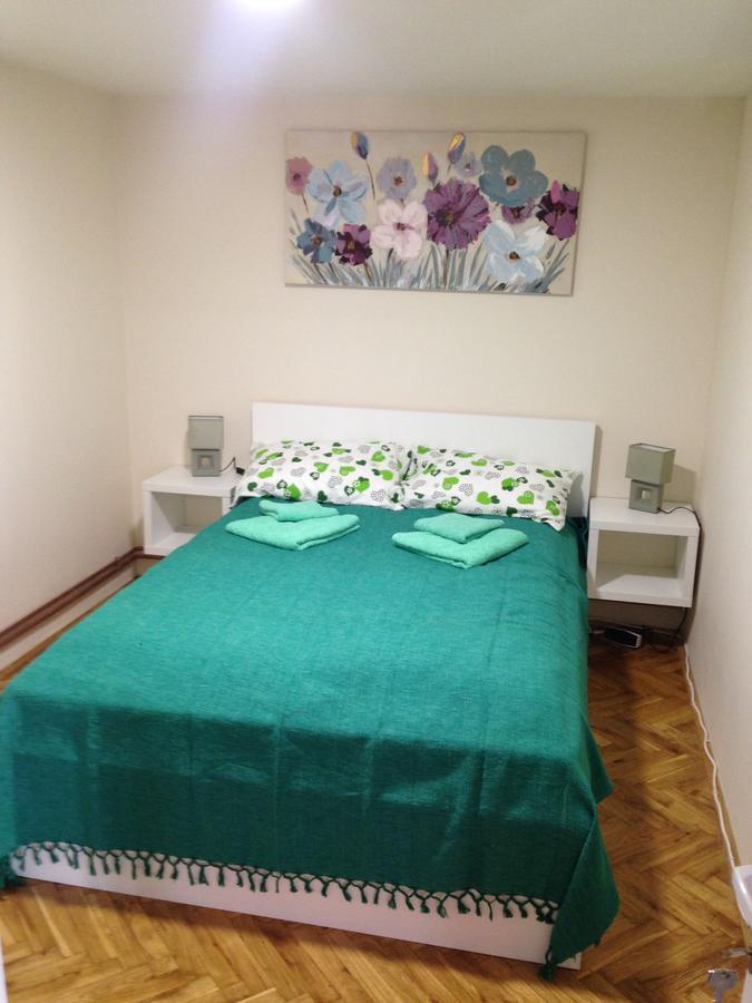 זלאטיבור Apartment Kamencic מראה חיצוני תמונה
